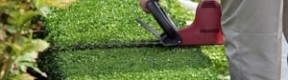 Quelques conseils-clé pour la taille de votre haie de cet été : 