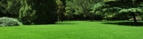 Comment rénover ou réaliser sa pelouse : quelques conseils dans la création de votre espace vert