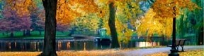 Entreprise de parc et jardin pour un aménagement extérieur de qualité 