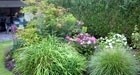 Plantations : les bons conseils de saison à Namur comme ailleurs !