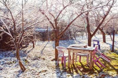 Jardin enneigé en hiver