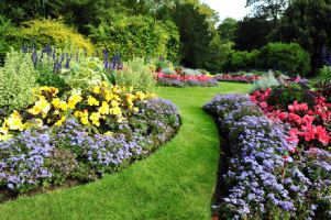 composition-massif-plantes-vivaces-parterre-fleurs-astuces-brabant-wallon-namur