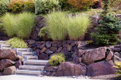 Jardin en pente sur différents niveaux scindés par des murs en gabions