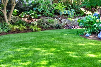 Pelouse verte dans un jardin