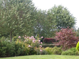 Jardin en automne