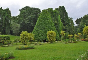 entretien jardin