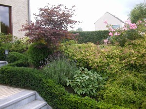 parterre d'automne