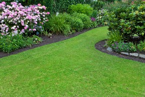 Jardin aménagé par un entrepreneur