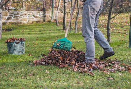 Créations et Paysage vous conseille pour vos travaux d'automne au jardin 