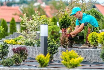 Pour obtenir un jardin harmonieux, faites appel &agrave; une entreprise sp&eacute;cialis&eacute;e