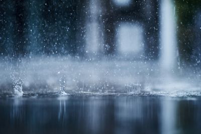 Le b&eacute;ton drainant permet une infiltration naturelle de l'eau dans le sol