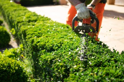 Faites appel à un professionnel pour l'entretien de vos espaces verts