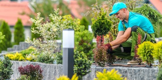 Aménagement complet de jardin : pourquoi faire appel à un pro ?