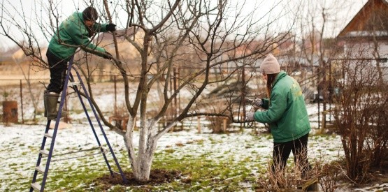 Aménagement extérieur en hiver à Jambes