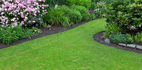 Aménagement de jardin en Belgique: conseils d'un expert de Namur