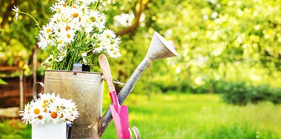 Aménager son jardin : comment s’y prendre au printemps ?