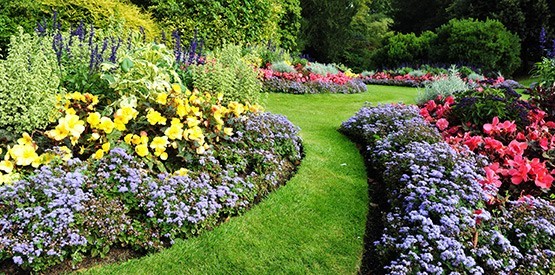 Composition d'un massif de plantes vivaces à Namur et en Brabant