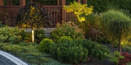 Conseils d'expert pour aménager son jardin dans le Brabant wallon