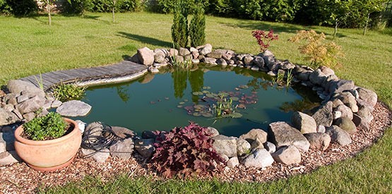 Comment aménager un étang de jardin?