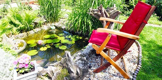 Création d’un jardin sans entretien ou presque en région de Namur