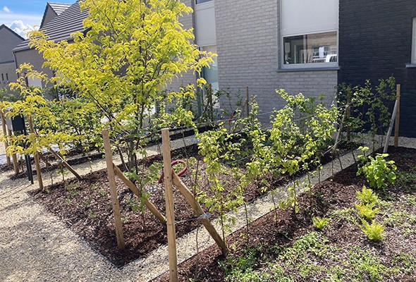 Entretien d'espaces verts en province de Namur