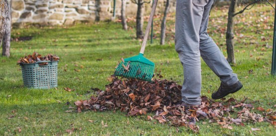 Travaux de jardinage en hiver à Saint-Servais