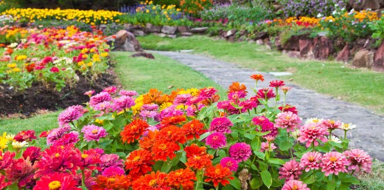 Accorder vos plantations au jardin à Ciney