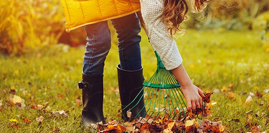 Préparation du jardin à l’arrivée de l’automne & hiver à Namur